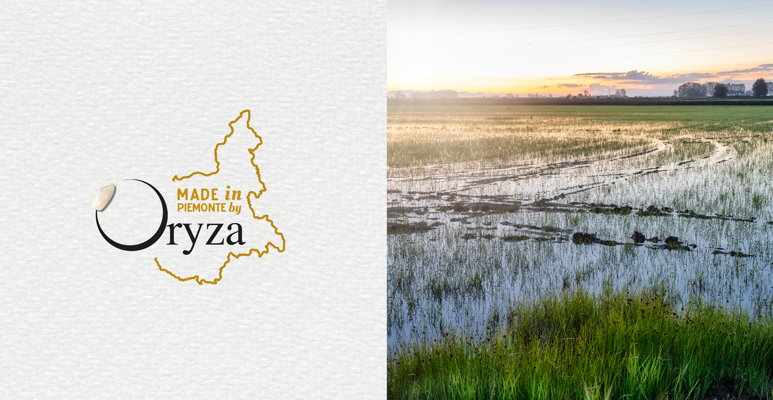 Oryza Madamina